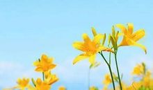 2021最流行的名言