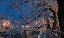 坚持不放弃的励志短句