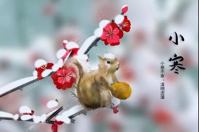 小山会谈和图片1