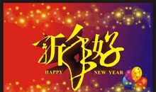 过年感慨的句子