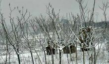 形容大雪的成语