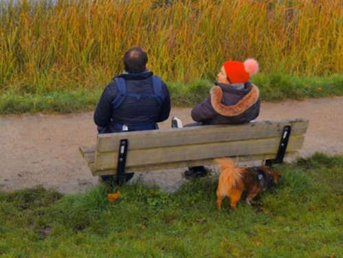 我们无法确定它是否最终可以在一起，但可以确定，为了在一起，我会尽力而为。