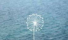 青春句子大全短的霸气