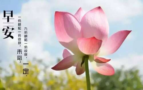 15.为明天做准备的最佳方式是专注于你的所有智慧，所有的热情，今天做到最好，这是你可以处理未来的唯一方式。早上好！