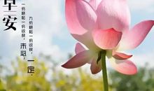 早上好的句子励志的