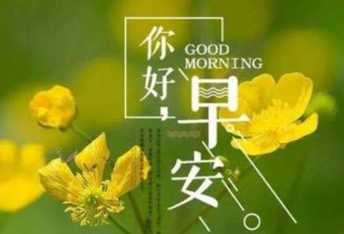 早上好话激动人心