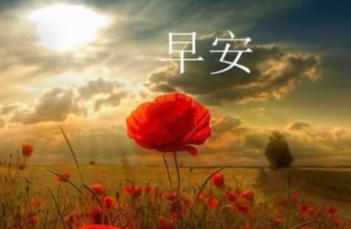 早安句子令人发知的1