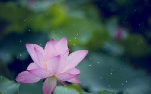 佛的句子1句子1