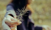 离婚伤感句子说说心情