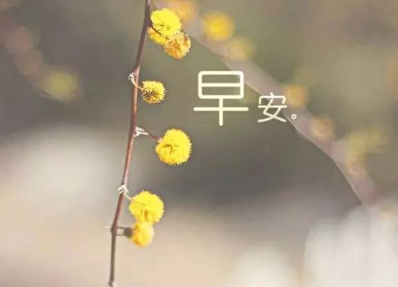 早上好2021最新图片