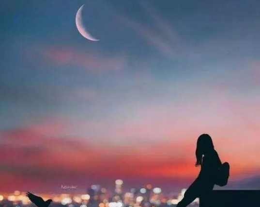 我从来没有为你而感到后悔。我从不后悔爱上你