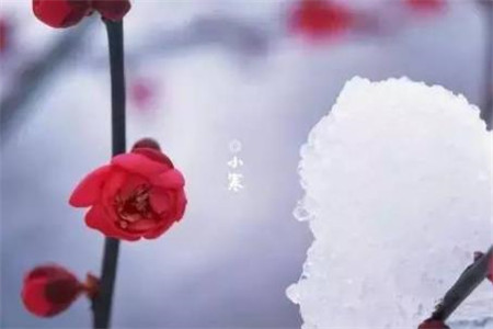 天堂看到东坡,但这是一个行人浪费。