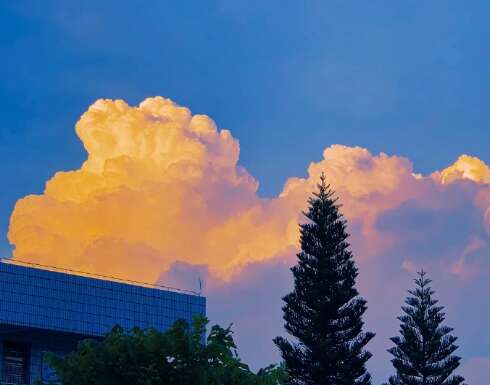 20,爱情太短,忘了太久了。