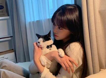 20,明亮,梦,我应该睡觉!