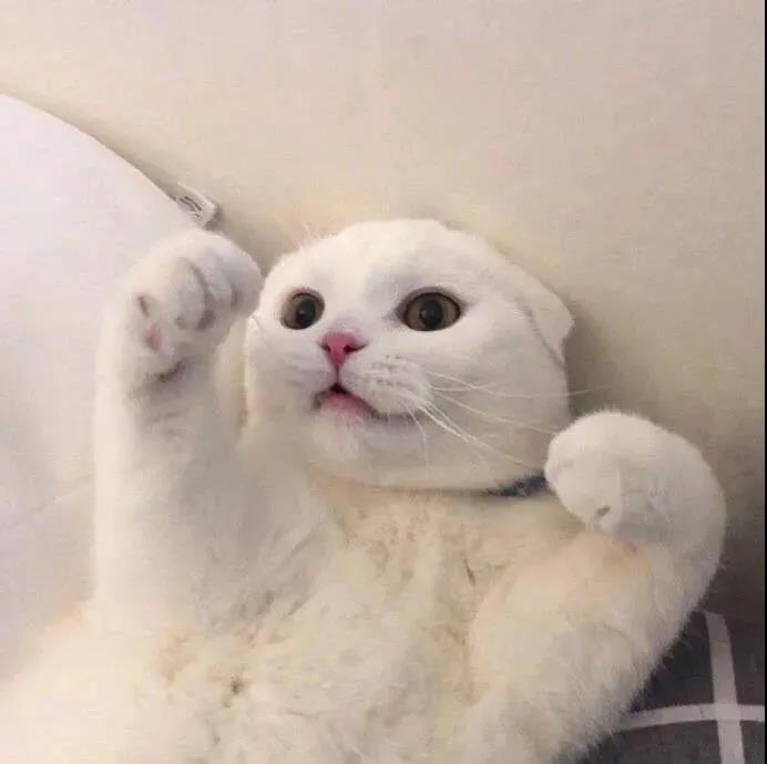 42，温门棉夹克