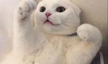 可爱到爆炸的微信网名