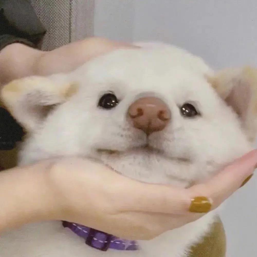 可爱爆炸的微信网络名称