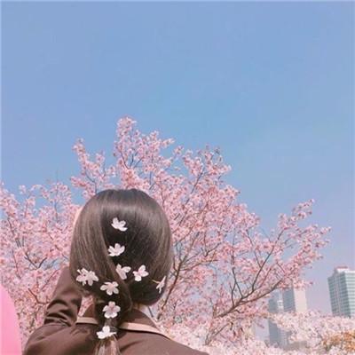 15.人们可以遇到，因为命运，但有些深，有些很浅。不能成为丈夫和妻子，不深，而是以另一种方式保护命运。友谊比爱更长，所以这不是一对，因为朋友是家;友谊比爱更长，但有纯粹的感受，但有时间越多越多。还有一种友谊，比夫妻和妻子更深，你知道他的愿望，他知道你的心是悲伤和孤独的，即使你不能陪伴某些东西，你的内心也与一切联系起来。