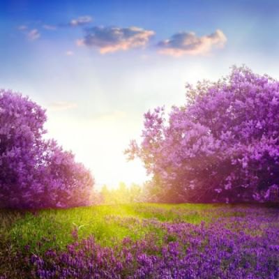 友好的友谊句美丽1