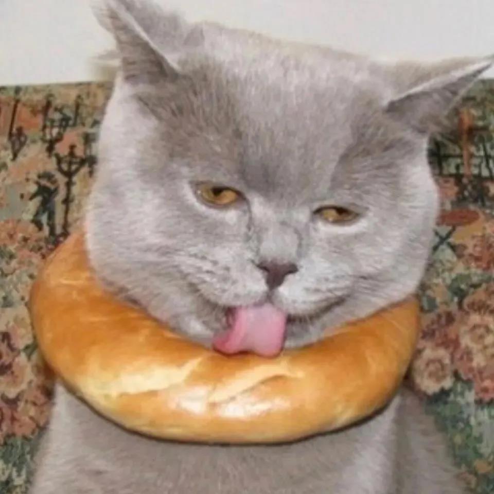 优雅的气质经典短信1