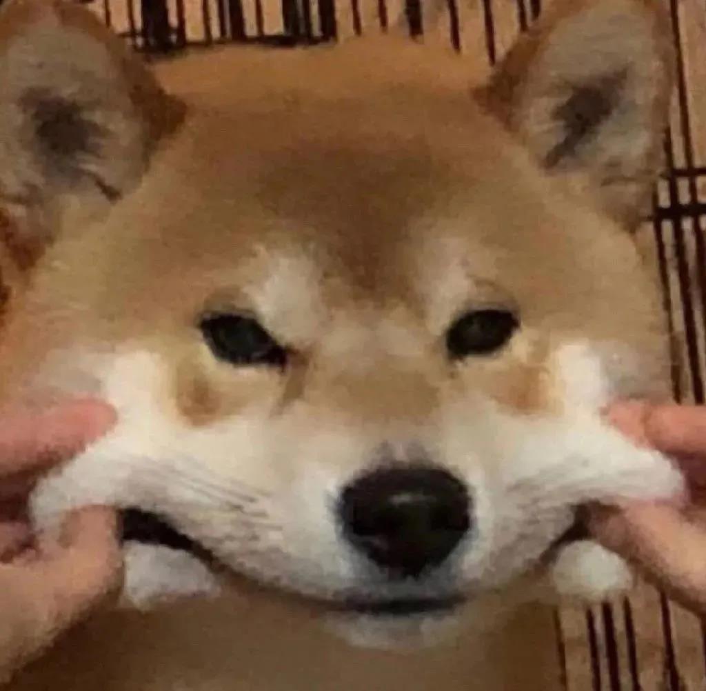 优雅的气质经典短句