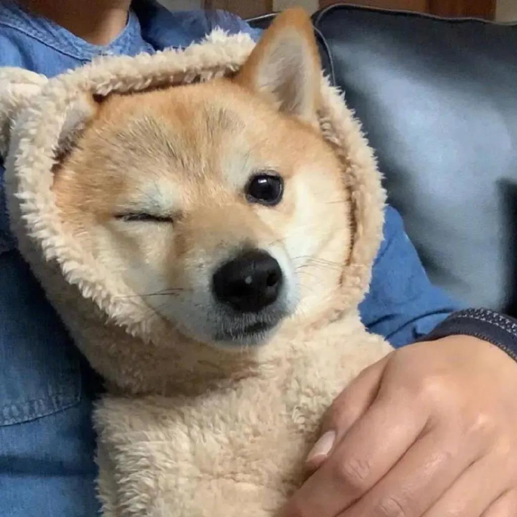 27,去看看你想要的,做你想做的事情,太阳恰到好处,风也不不不不不不不不不不不不不不不不不不不不不不不不不不不不不,。