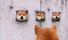 沙雕可爱的文案