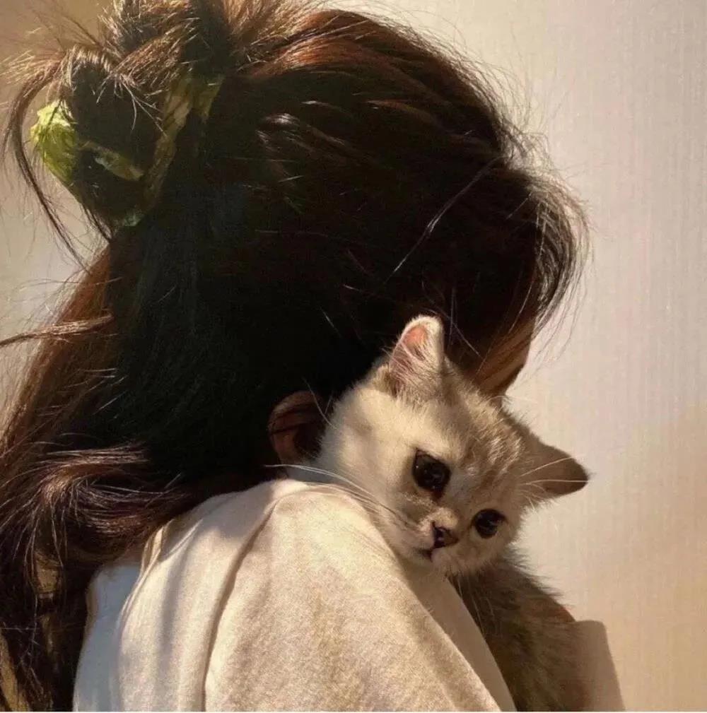 喜欢闷热的判决