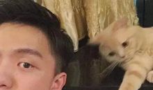 渣男撩人专用句子