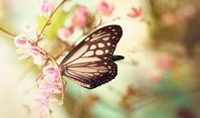 友情破裂的伤感句子说说心情