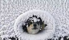 寒潮来袭朋友圈说说