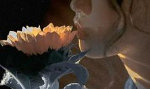 秒赞的朋友圈说说