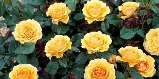 生活的句子需要让朋友圈