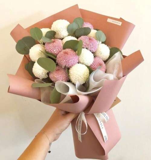 生命句需要一个句子来发送朋友圈1