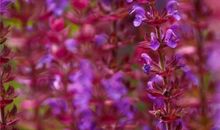 友情很久没见的句子