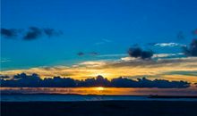 爱情转化为友情的句子