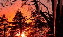 悲伤离开的句子友情