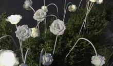 感动女朋友的暖心话