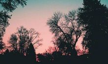 适合晚上发朋友圈的文言文