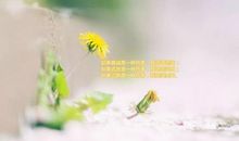 朋友圈说说的心情不好的句子