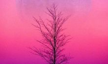 2021致自己温暖励志的温柔短句