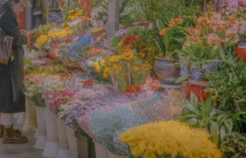 2021新年的单词短暂的灵感1