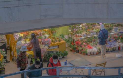 2021新年祝贺短暂的灵感