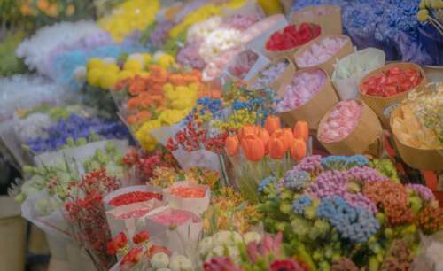 20，老年在这里，我希望你每天都笑！