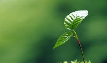 立春到来的句子