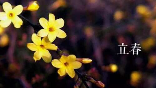 关于李春1的美学句