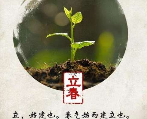 适合春头发朋友的照片1