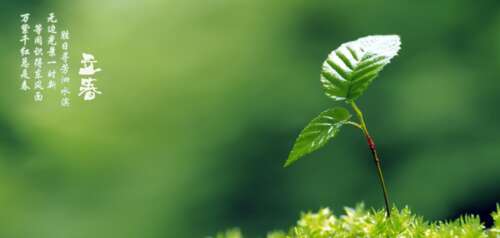 李春春天温暖祝福