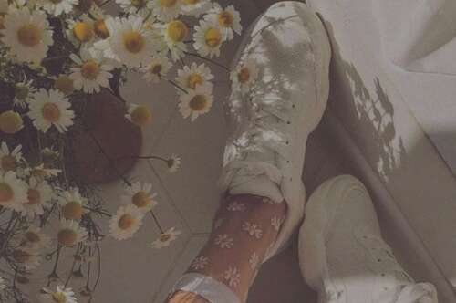 25.最亲密的人最愚蠢的行为是最贴近的。