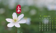 适合立春发的句子